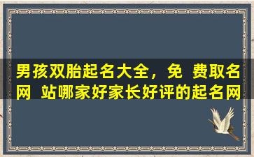 男孩双胎起名大全，免  费取名网  站哪家好家长好评的起名网推荐！